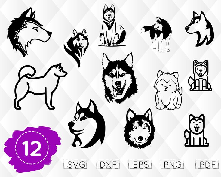 Detail Free Husky Clipart Nomer 31