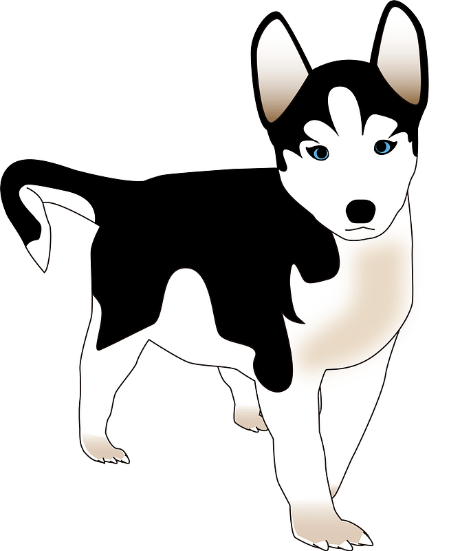 Detail Free Husky Clipart Nomer 43