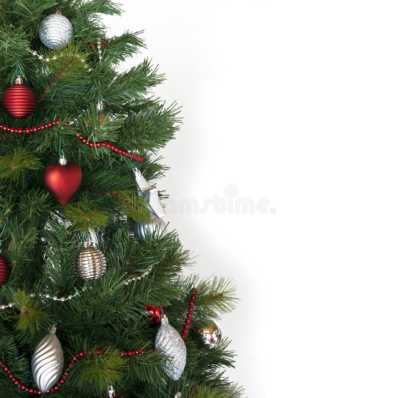 Detail Free Image Of Christmas Tree Nomer 11