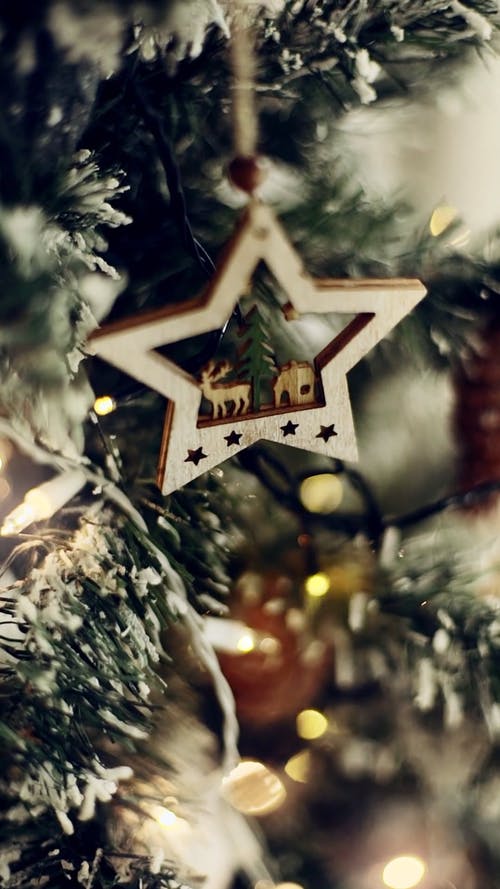 Detail Free Image Of Christmas Tree Nomer 21