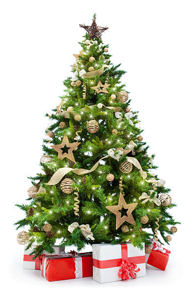 Detail Free Image Of Christmas Tree Nomer 6