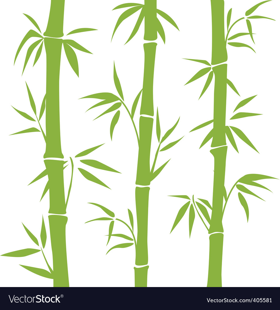 Detail Free Images Bamboo Nomer 8