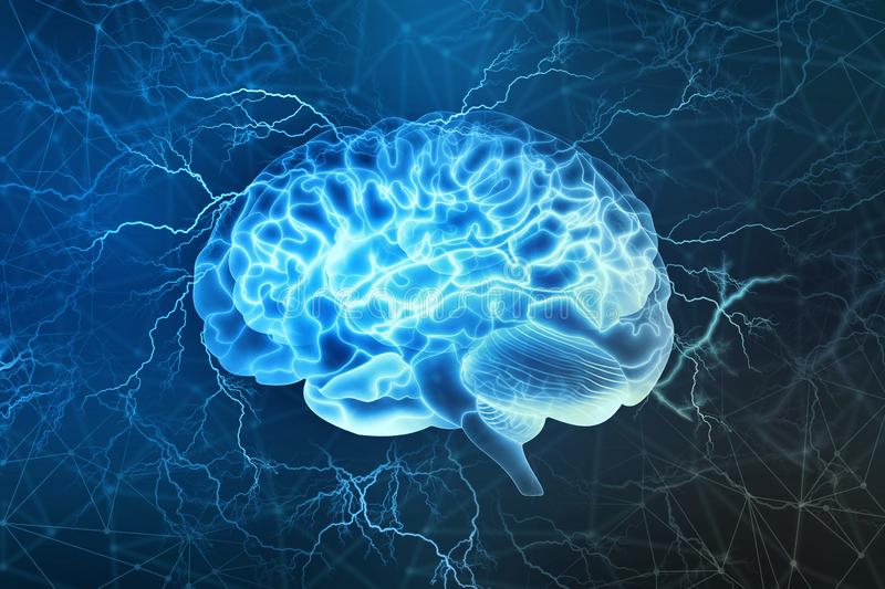 Free Images Brain - KibrisPDR