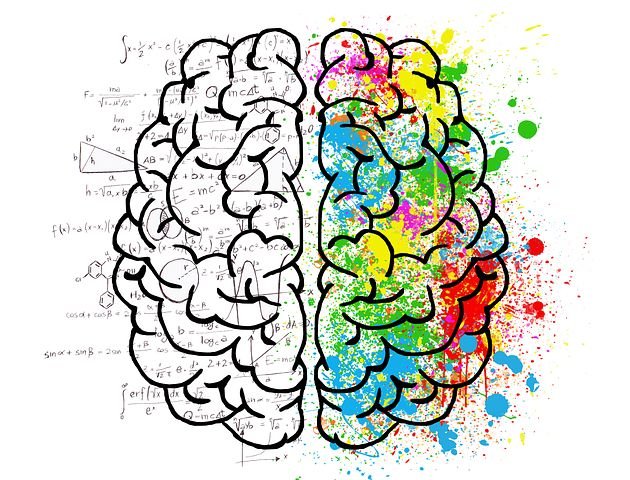 Detail Free Images Brain Nomer 2