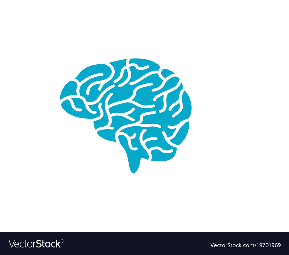 Detail Free Images Brain Nomer 13