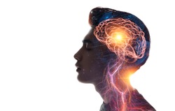 Detail Free Images Brain Nomer 21