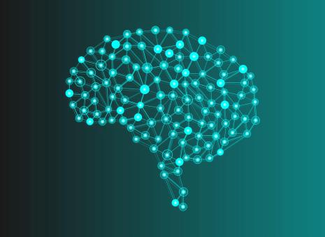 Detail Free Images Brain Nomer 29