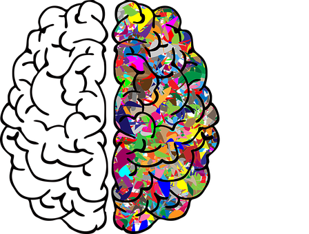 Detail Free Images Brain Nomer 31