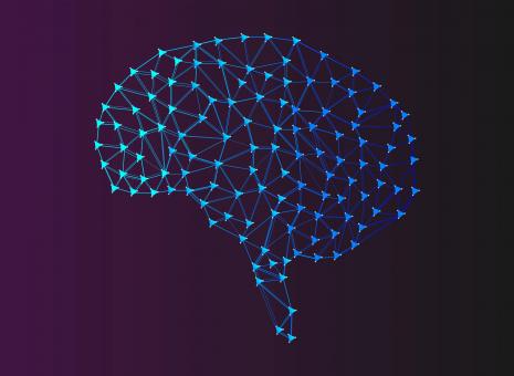 Detail Free Images Brain Nomer 34