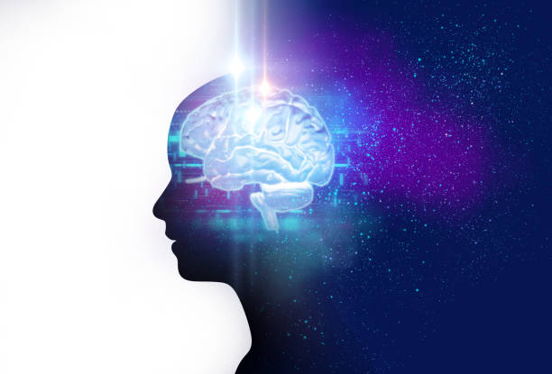 Detail Free Images Brain Nomer 38
