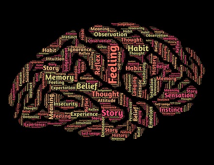 Detail Free Images Brain Nomer 47