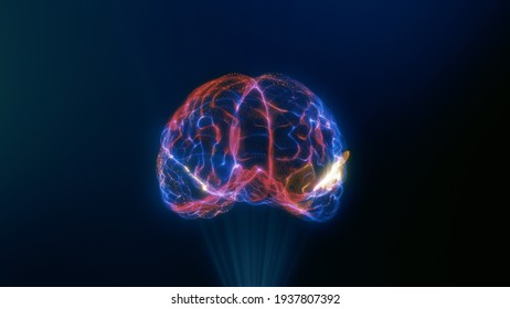 Detail Free Images Brain Nomer 48