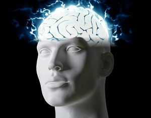 Detail Free Images Brain Nomer 49