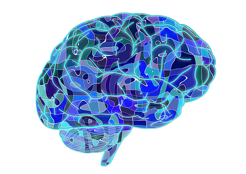 Detail Free Images Brain Nomer 54