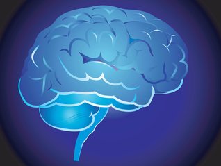 Detail Free Images Of Brain Nomer 30