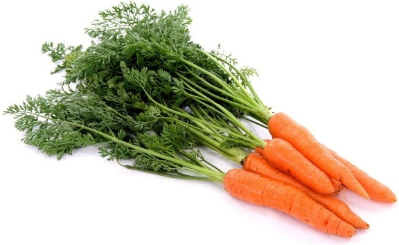 Detail Free Images Of Carrots Nomer 14