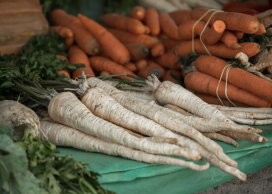 Detail Free Images Of Carrots Nomer 40