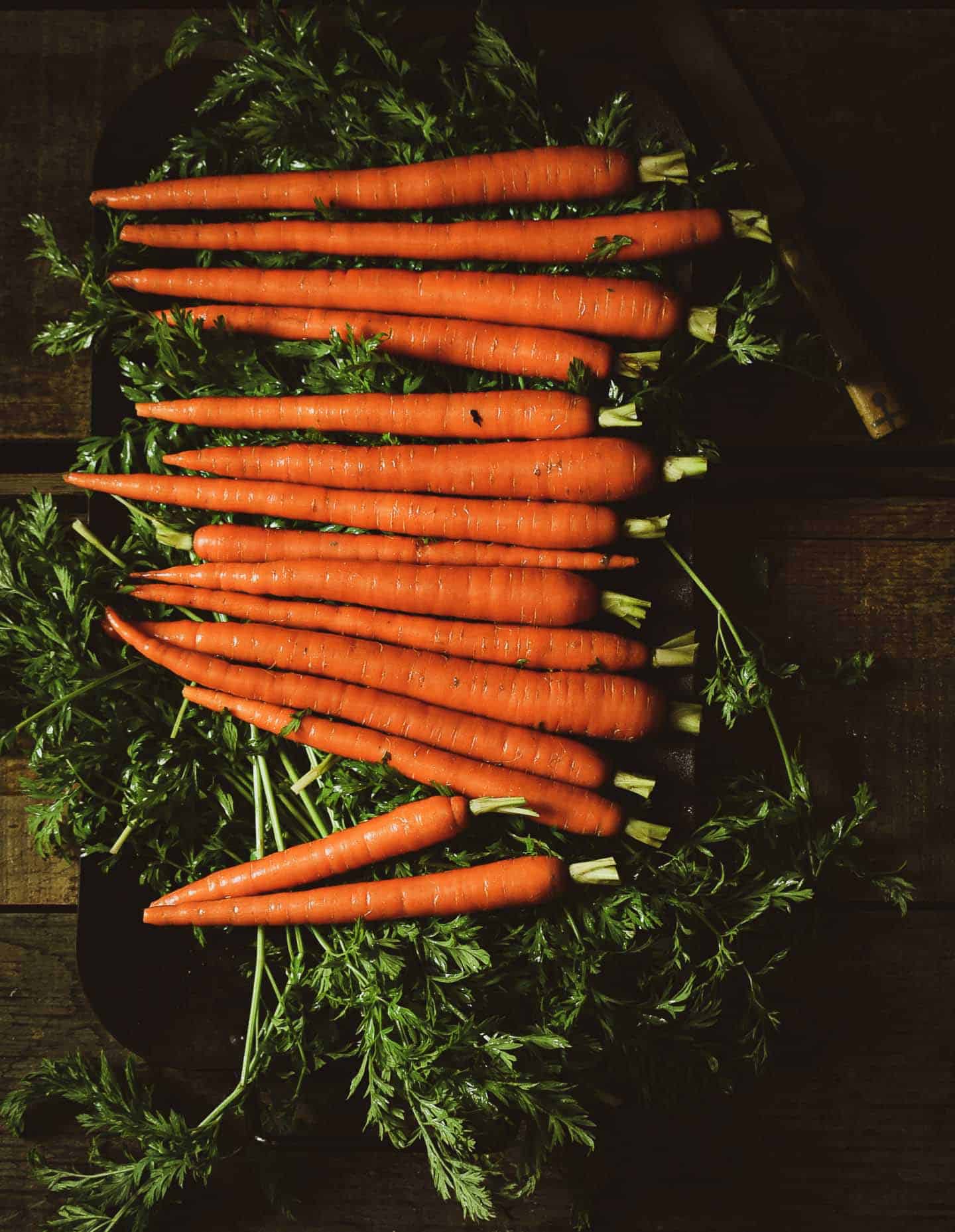 Detail Free Images Of Carrots Nomer 41