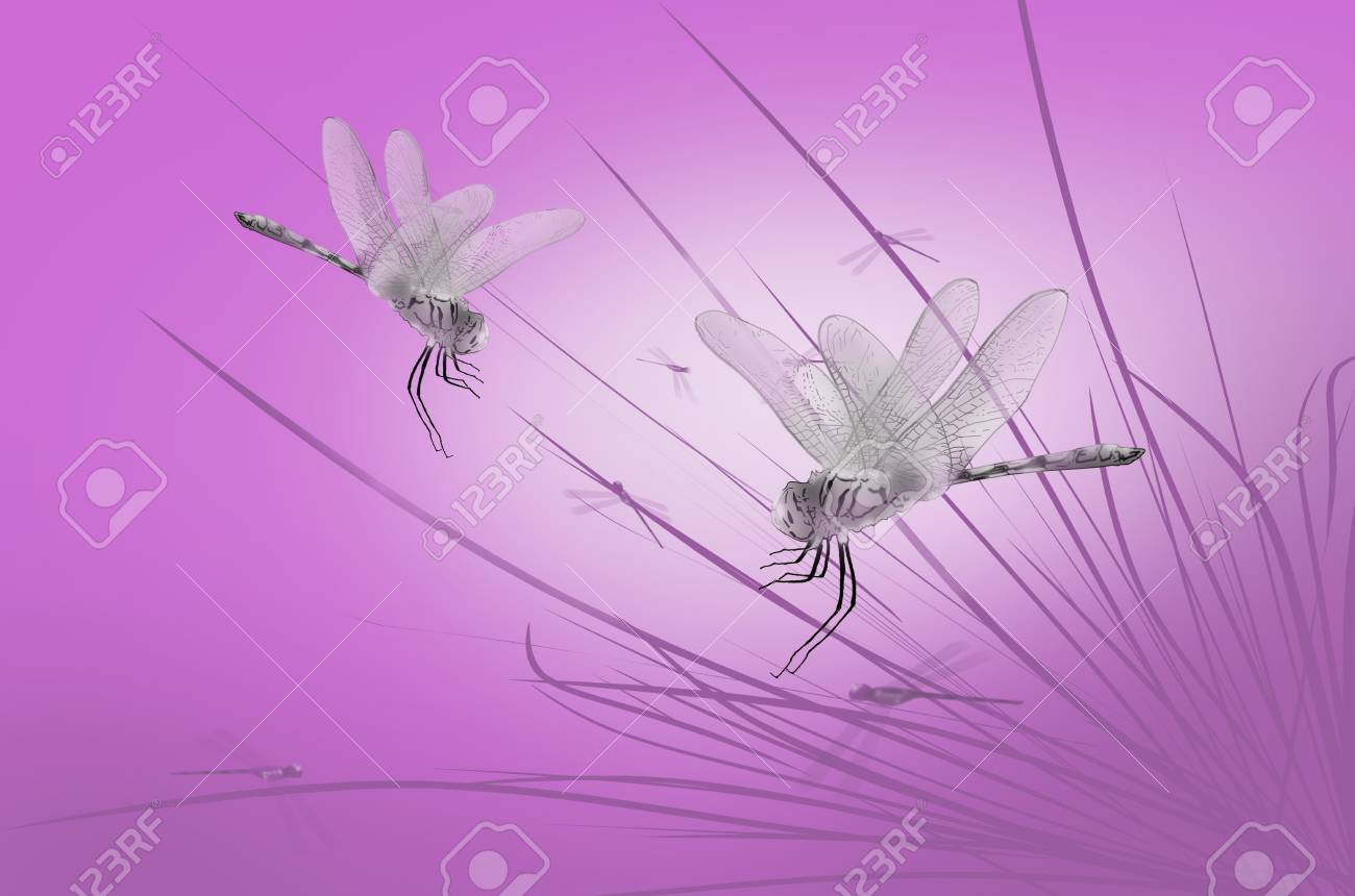 Detail Free Images Of Dragonflies Nomer 40