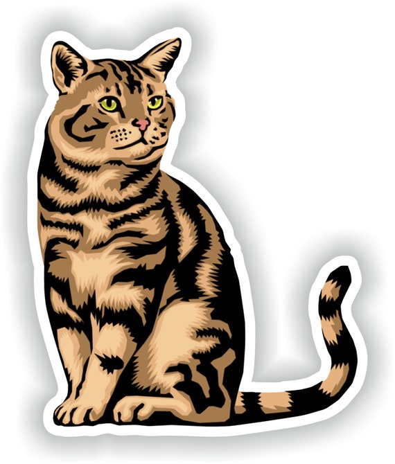 Detail Getigerte Katze Nomer 2