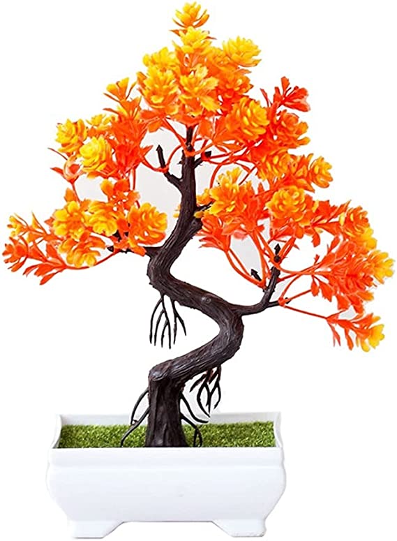 Detail Orangen Bonsai Baum Nomer 8