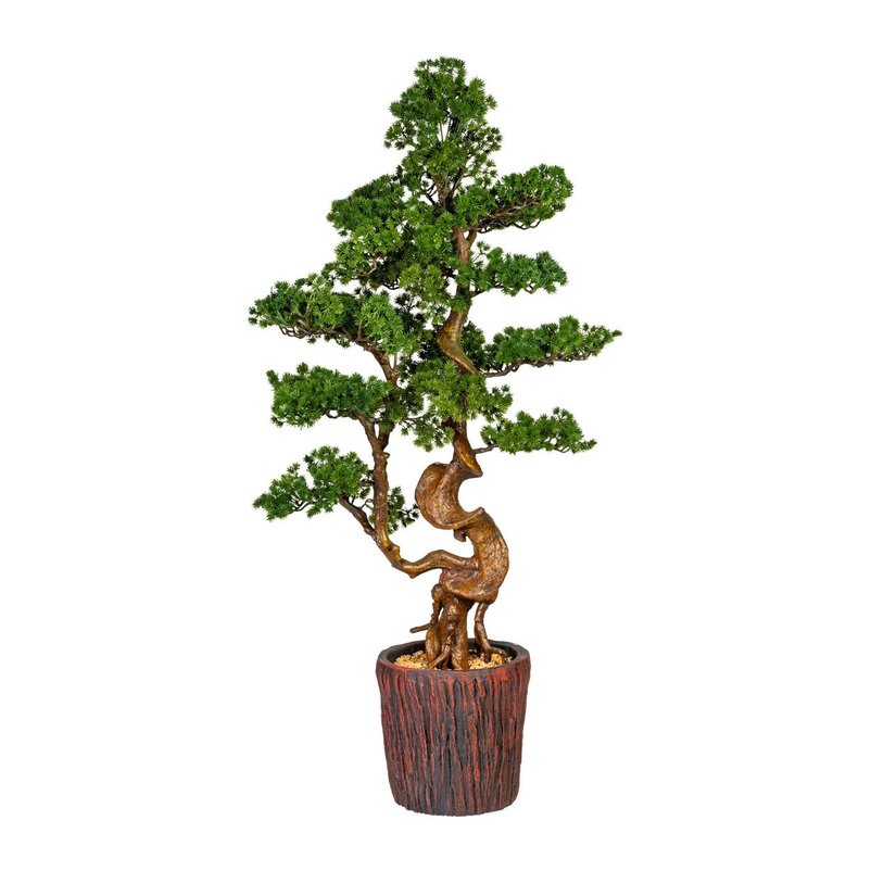 Detail Orangen Bonsai Baum Nomer 21