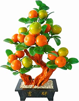 Detail Orangen Bonsai Baum Nomer 7