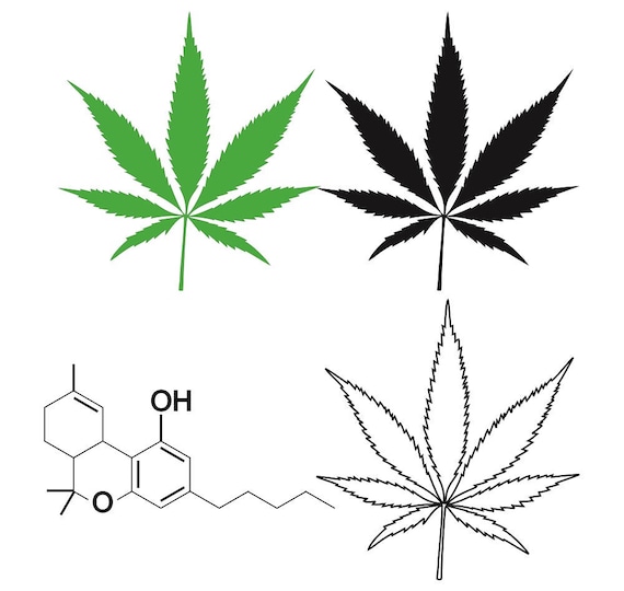 Detail Cannabis Blatt Nomer 7