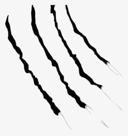 Detail Claws Transparent Nomer 12