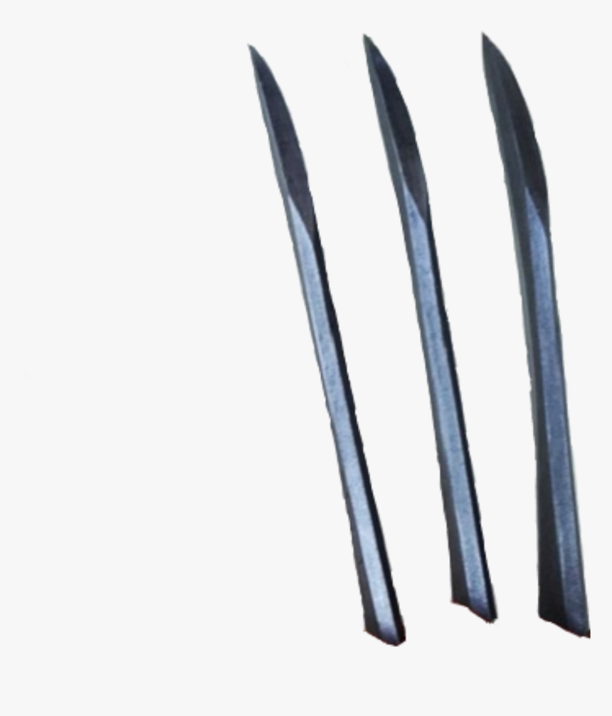 Detail Claws Transparent Nomer 18