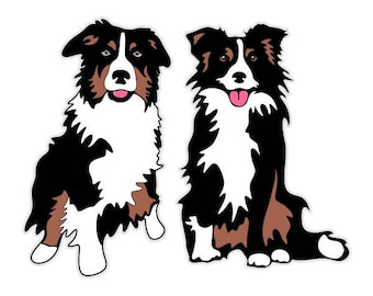 Detail Collie Border Tricolor Nomer 10