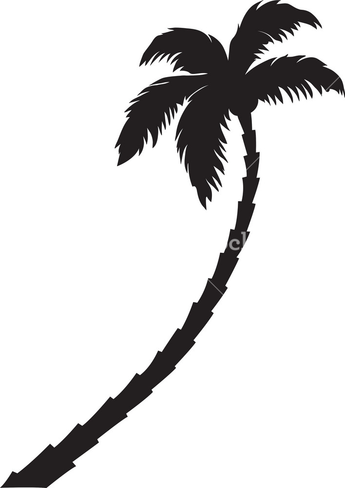 Detail Free Images Of Palm Trees Nomer 31