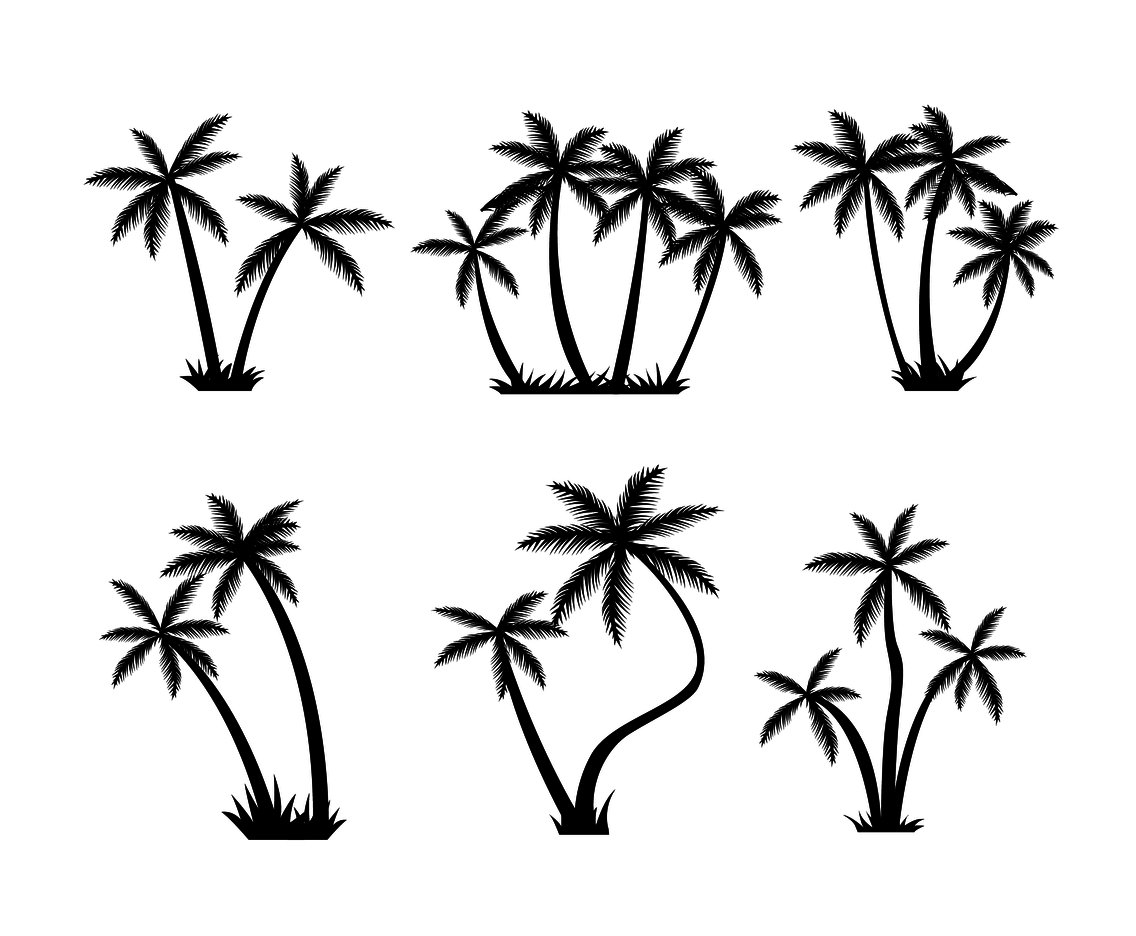 Detail Free Images Of Palm Trees Nomer 5