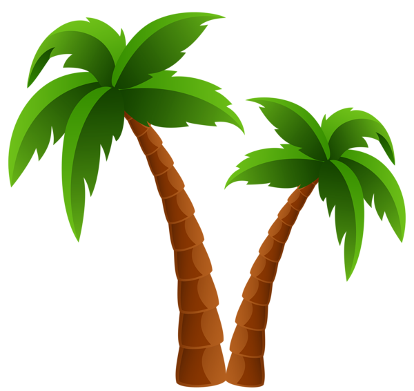 Detail Free Images Of Palm Trees Nomer 45