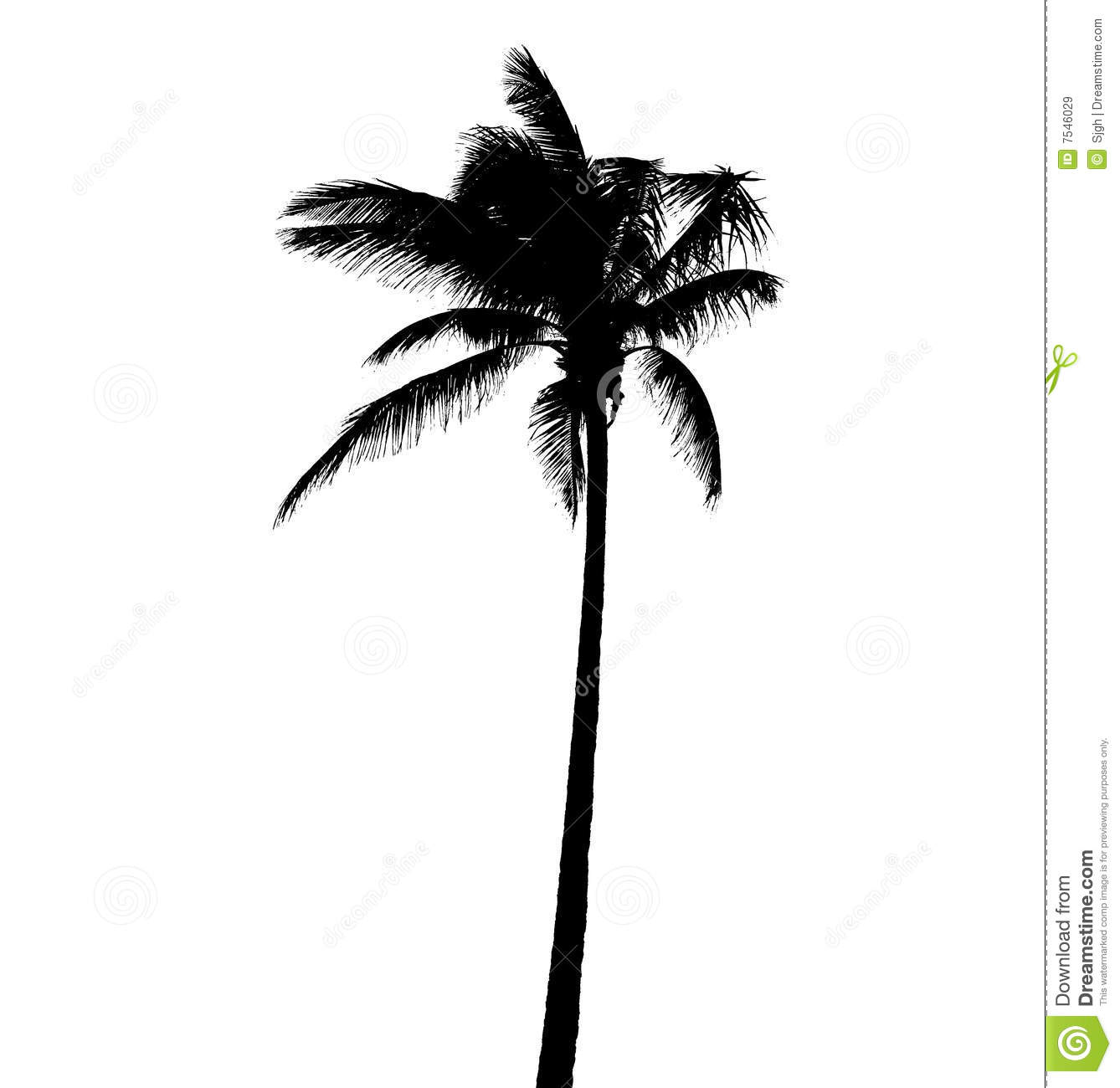 Detail Free Images Of Palm Trees Nomer 9