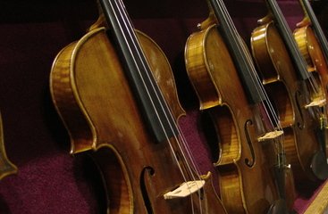 Detail Free Images Of Violins Nomer 12