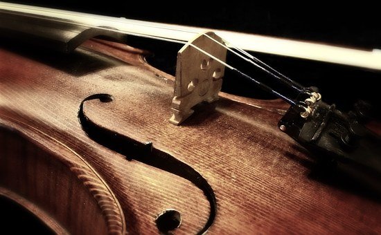 Detail Free Images Of Violins Nomer 13