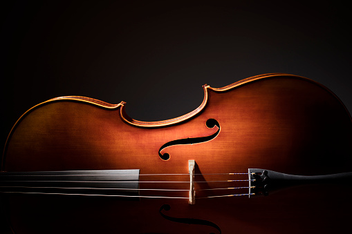 Detail Free Images Of Violins Nomer 5