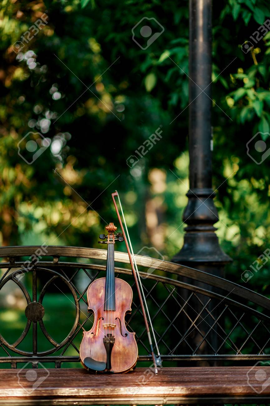 Detail Free Images Of Violins Nomer 38