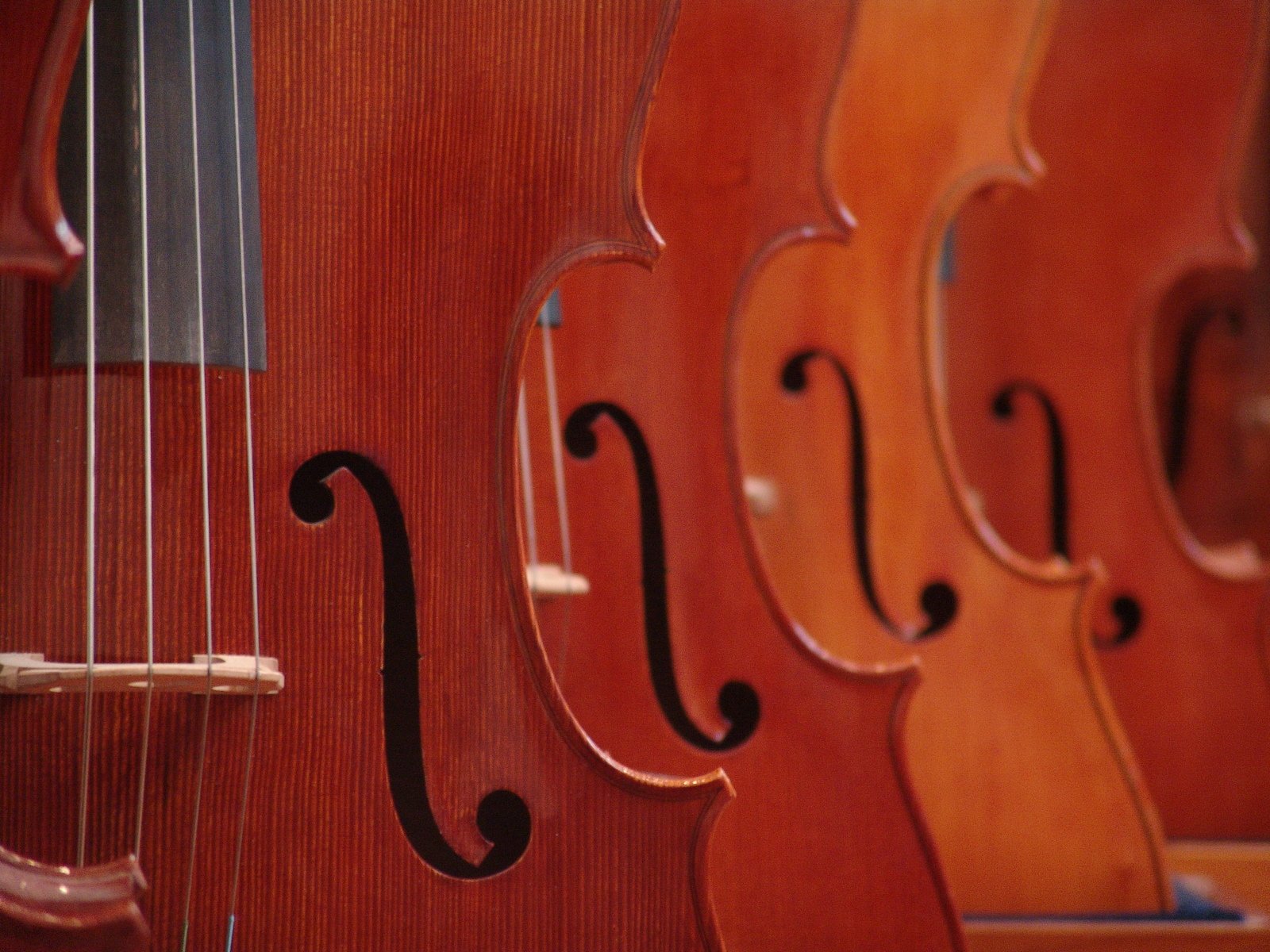 Detail Free Images Of Violins Nomer 46