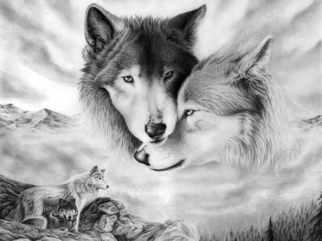 Detail Free Images Of Wolves Nomer 45