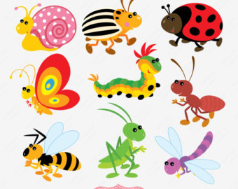 Free Insect Clipart - KibrisPDR