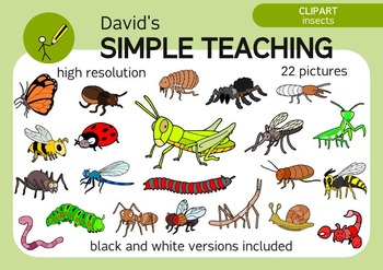 Detail Free Insect Clipart Nomer 17