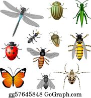 Detail Free Insect Clipart Nomer 3