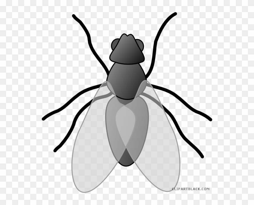 Detail Free Insect Clipart Nomer 28