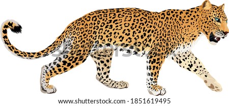 Detail Free Jaguar Clipart Nomer 15