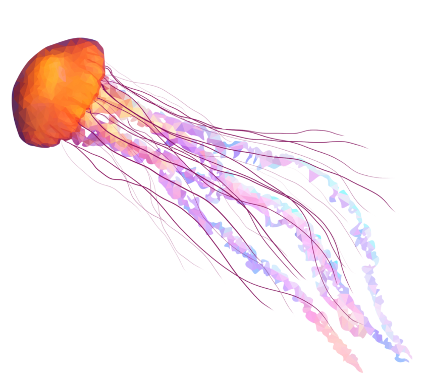 Detail Free Jellyfish Images Nomer 20