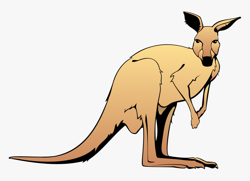 Detail Free Kangaroo Clipart Nomer 9