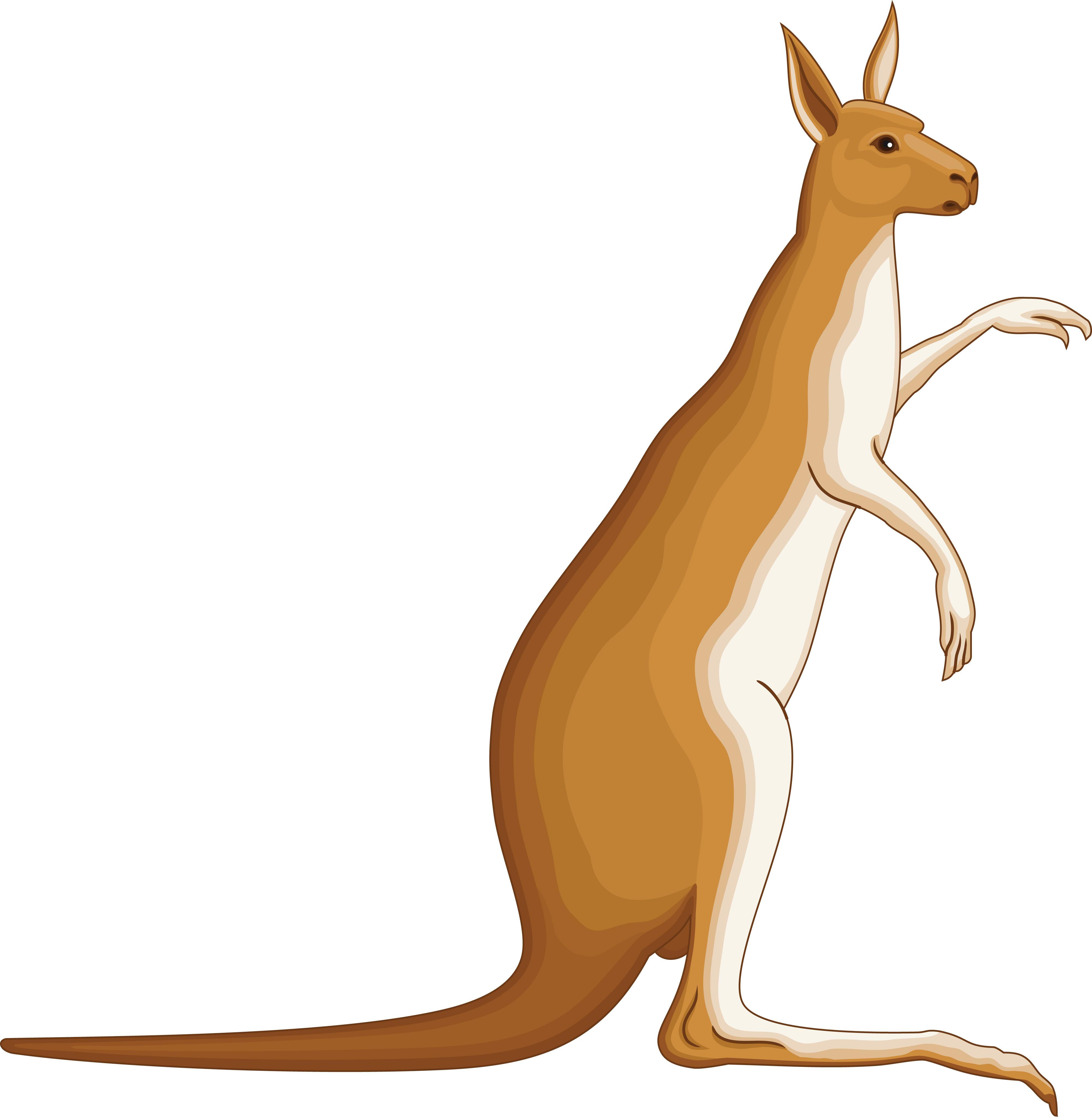 Detail Free Kangaroo Clipart Nomer 22