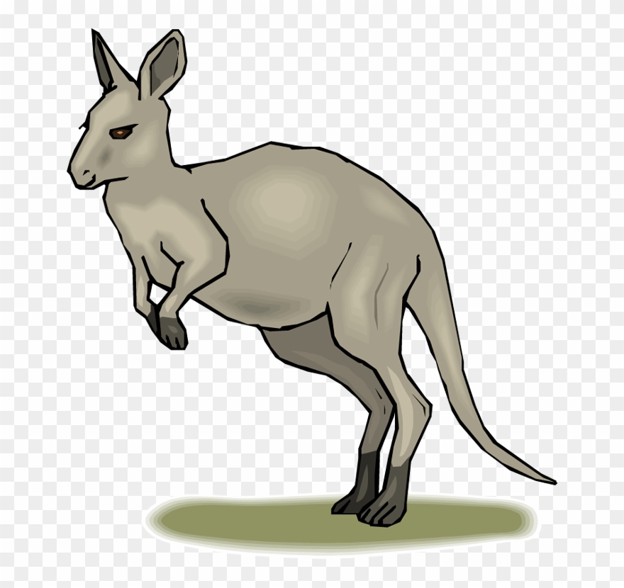 Detail Free Kangaroo Clipart Nomer 30